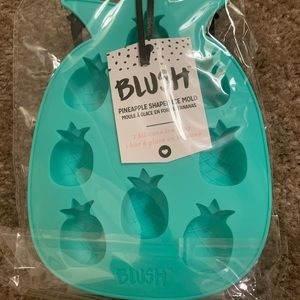 Pineapple ice cube tray